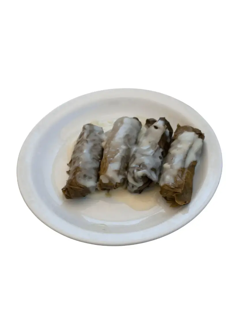 Dolmades Meat & Vegetarian